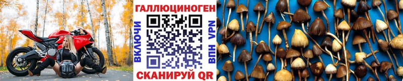 Галлюциногенные грибы Cubensis  Пучеж 